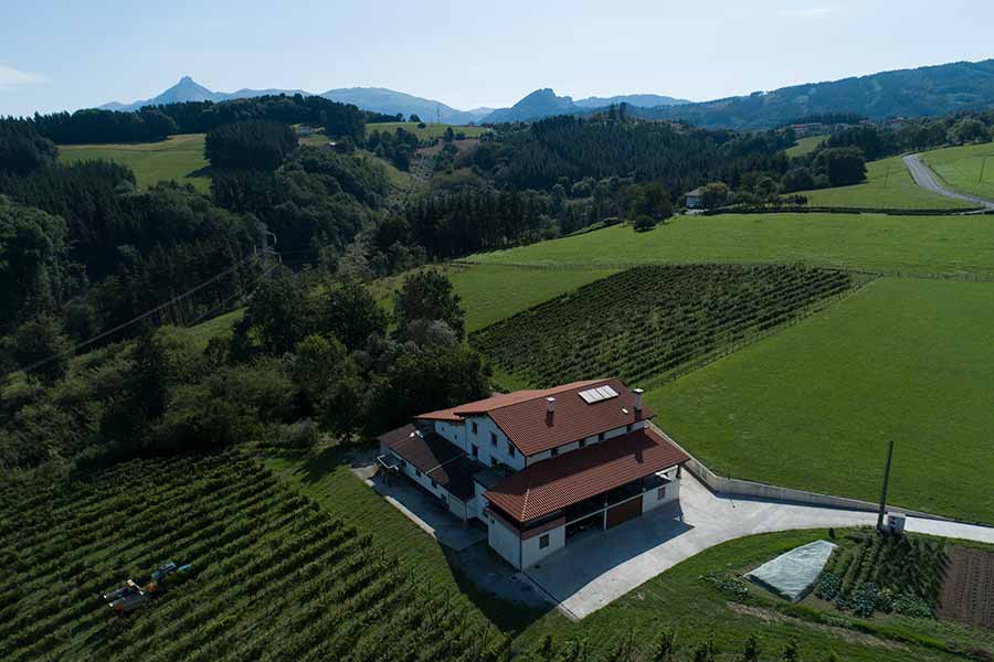 Txakoli Bengoetxe - El caserío en País Vasco