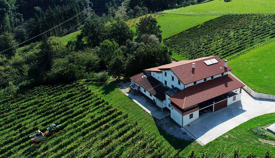 Txakoli Bengoetxe - Farmhouse