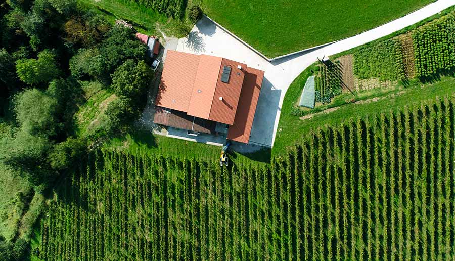 Txakoli Bengoetxe - Farmhouse