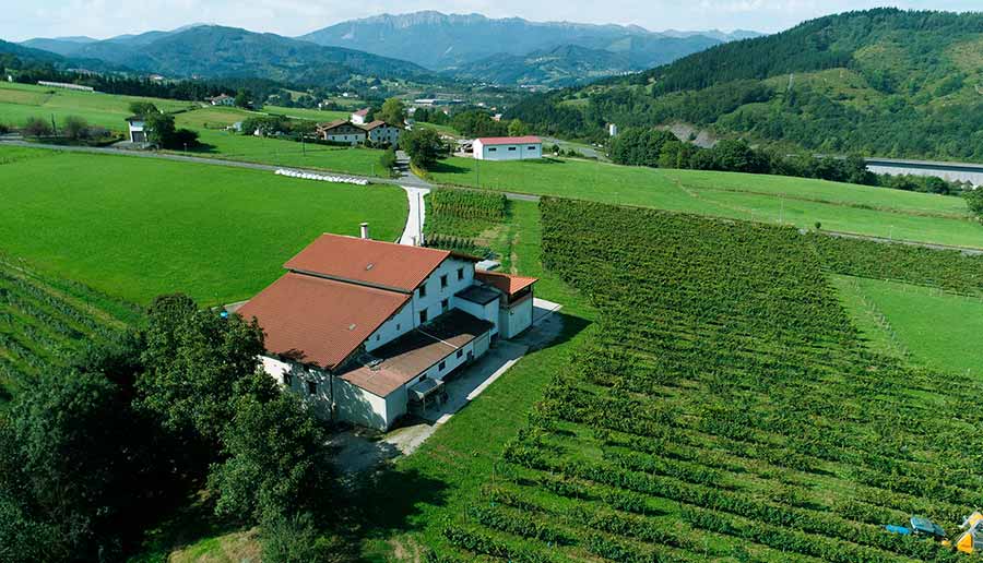 Txakoli Bengoetxe - Farmhouse